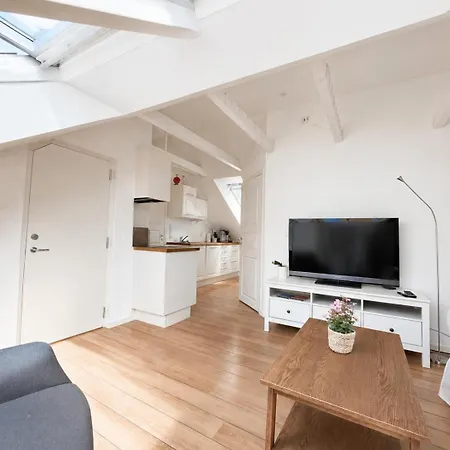 Lägenhet Penthouse Michael Krohns Gate *